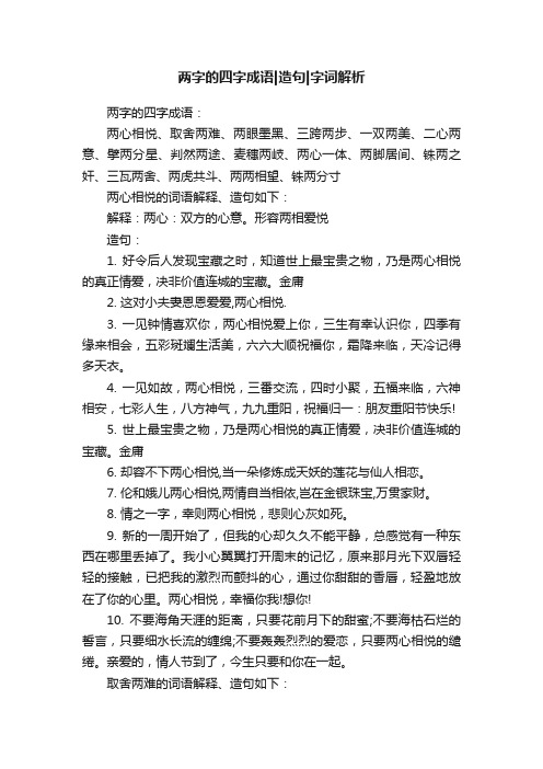 两字的四字成语造句字词解析