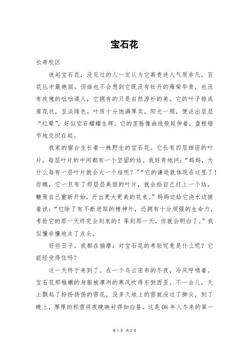 宝石花_五年级作文