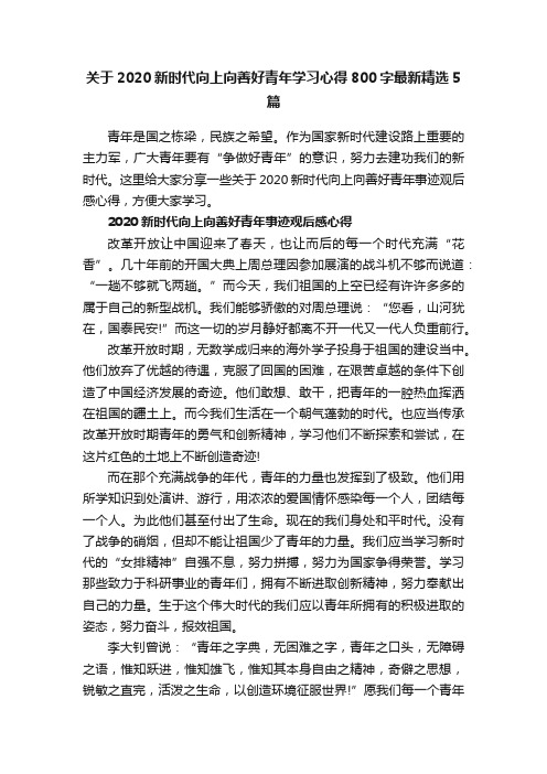 关于2020新时代向上向善好青年学习心得800字最新精选5篇