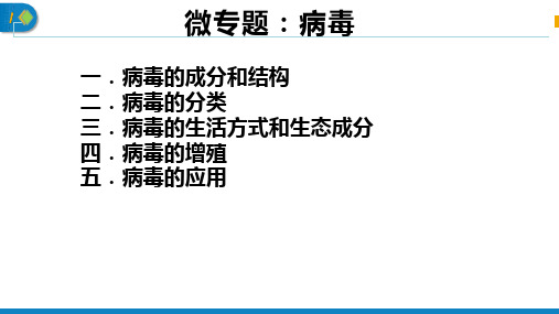 2024届高三生物一轮复习课件微专题：病毒