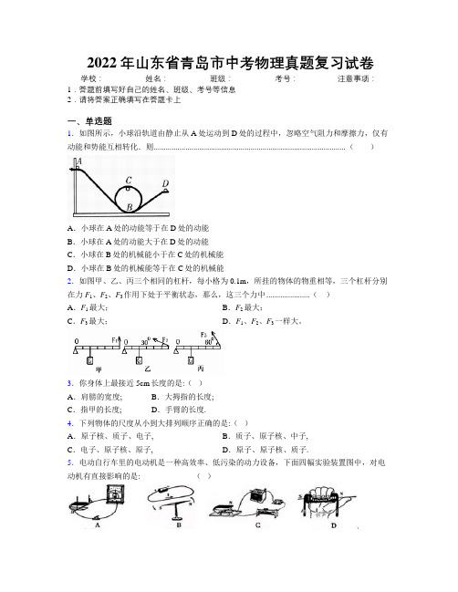 2022年山东省青岛市中考物理真题复习试卷及解析