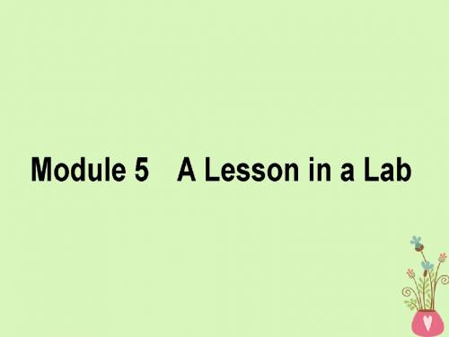 2019版高考英语一轮复习Module5ALessoninaLab课件外研版必修1