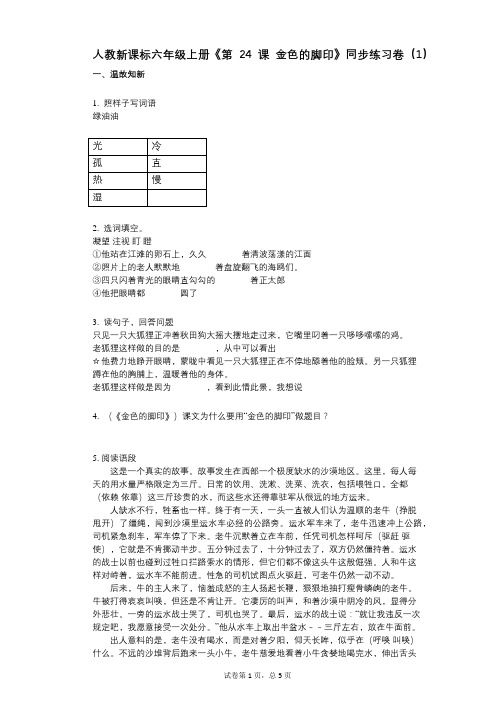 人教新课标六年级上册《第24课_金色的脚印》小学语文-有答案-同步练习卷(1)