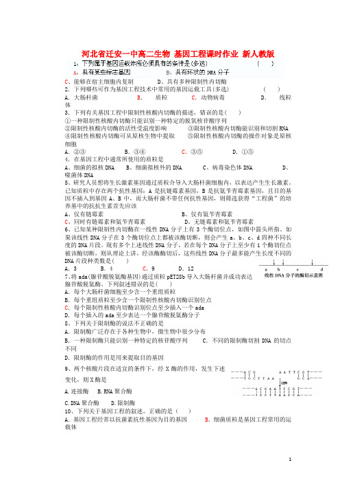 河北省迁安一中高二生物 基因工程课时作业 新人教版