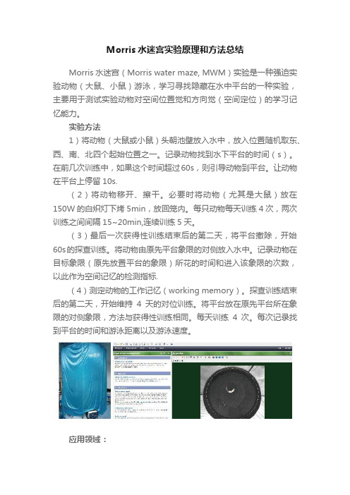 Morris水迷宫实验原理和方法总结