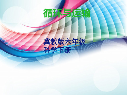 【精品】2020年六年级下册科学课件-7 循环与运输 |冀教版 (共25张PPT)