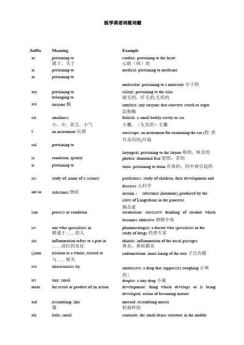 医学英语词根词缀大全