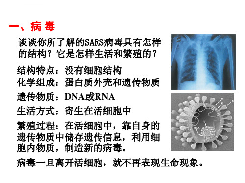 生物必修一全套课件一精选ppt