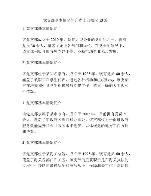 党支部基本情况简介党支部概况13篇