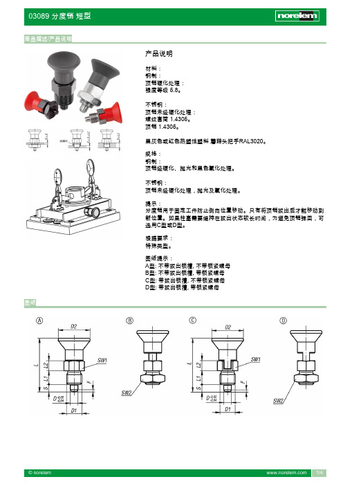 norelem 03089 分度销短型说明书