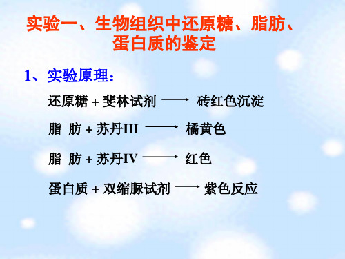 三大类物质鉴定实验