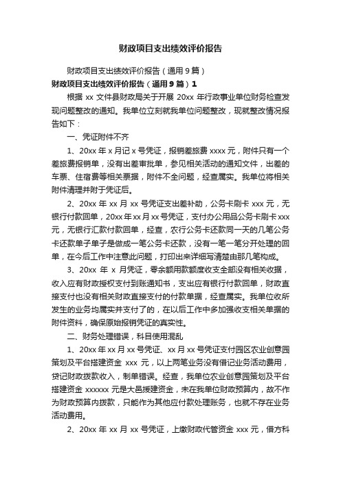 财政项目支出绩效评价报告