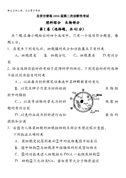四川省自贡市2016届高三第二次诊断性考试生物试题 含答案
