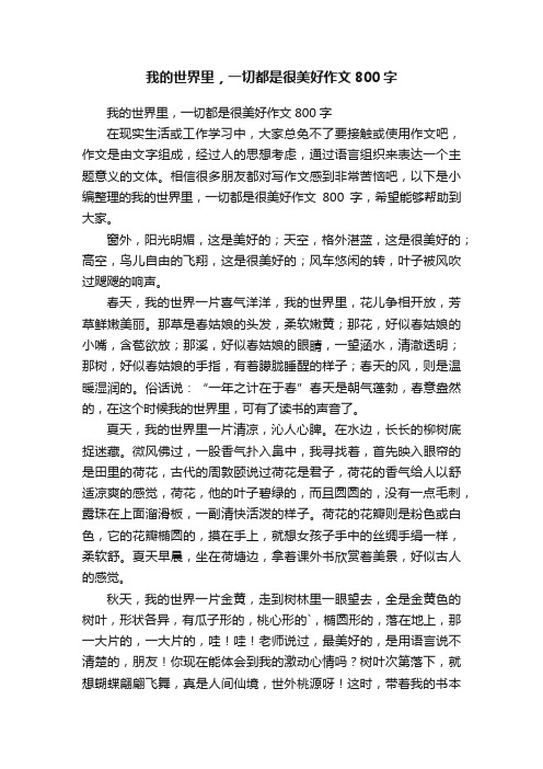 我的世界里，一切都是很美好作文800字