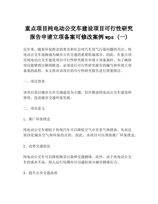 重点项目纯电动公交车建设项目可行性研究报告申请立项备案可修改案例wps (一)