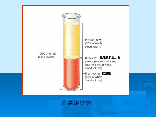 03 第三章血液-PPT文档