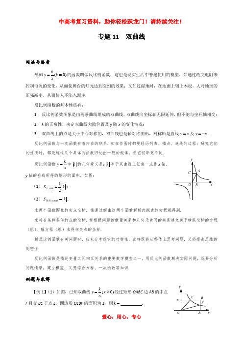 初中数学总复习专题11 双曲线