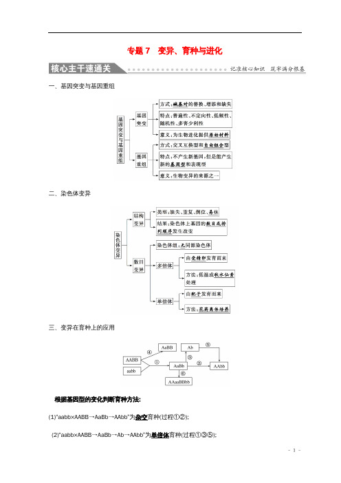 高考生物二轮复习专题七变异、育种与进化自查学案