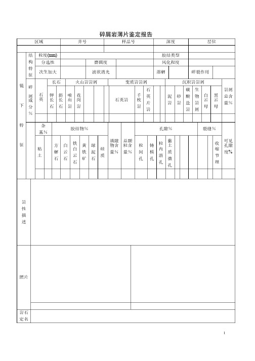 碎屑岩鉴定（xin）