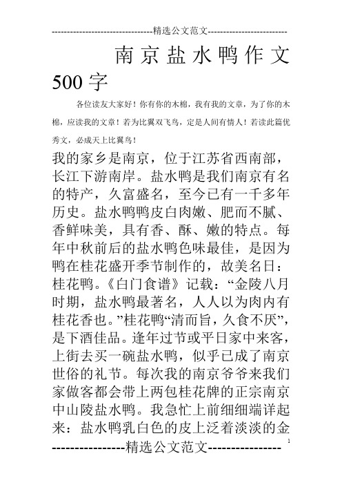 南京盐水鸭作文500字