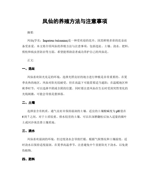 凤仙的养殖方法与注意事项