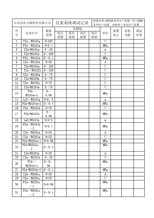 仪表调试记录【范本模板】