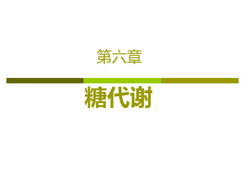 生物化学 糖代谢 PPT课件