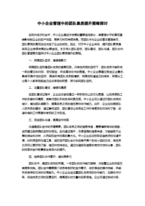 中小企业管理中的团队素质提升策略探讨