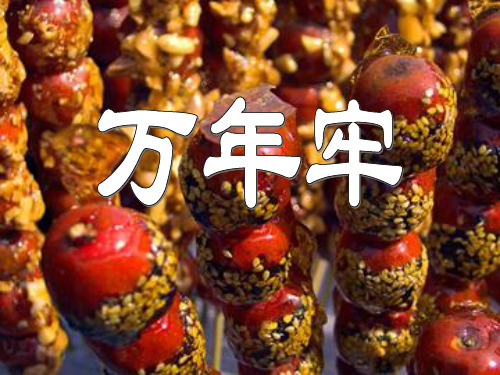 《万年牢》语文PPT课件(6篇)