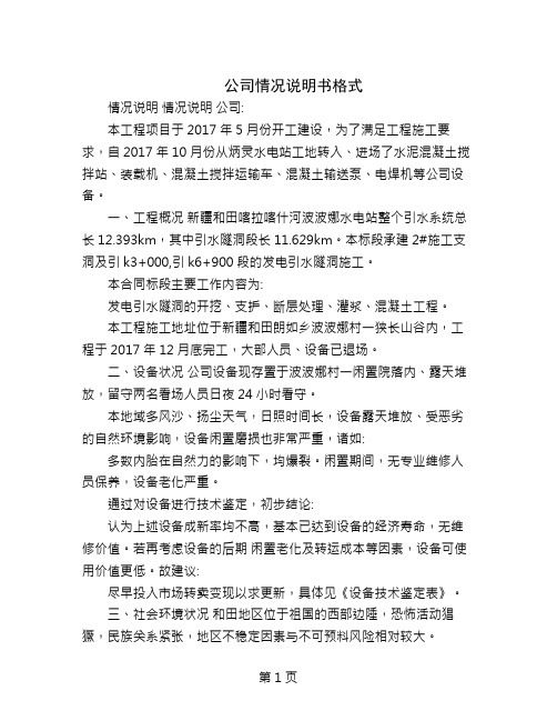 公司情况说明书格式