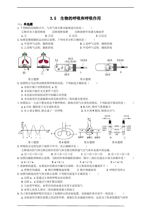 浙教版科学八年级下册同步练习35生物的呼吸和呼吸作用