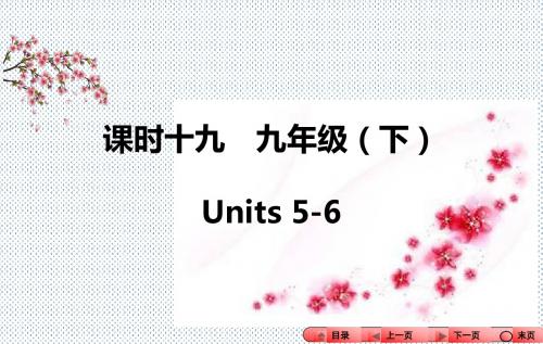 2016河南中考全程备考方略英语(新课标)课时十九九年级(下)Units5-6