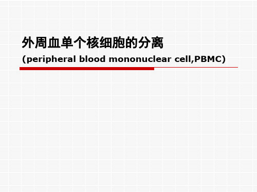 外周血单个核细胞