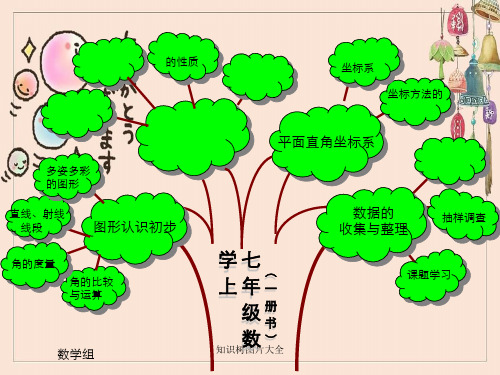 知识树图片大全