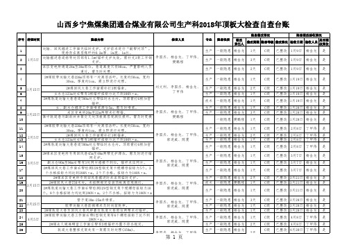 2018年顶板专项自查台账