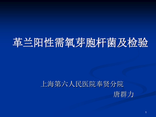 检验微生物学 革兰阳性需氧芽胞杆菌及检验