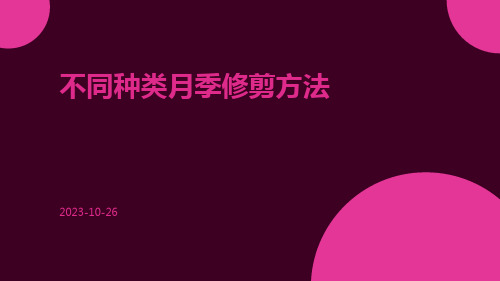 不同种类月季修剪方法