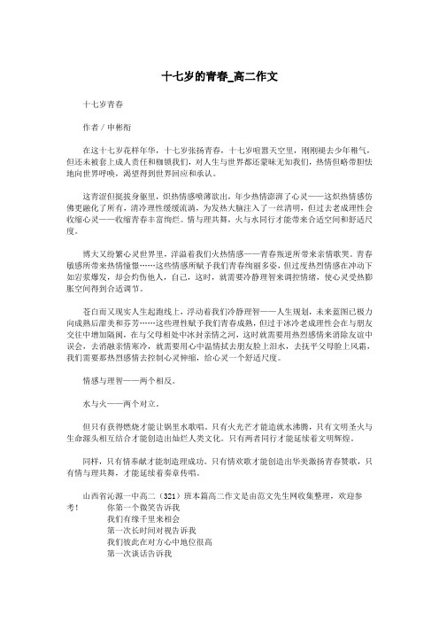 十七岁的青春_高二作文.doc