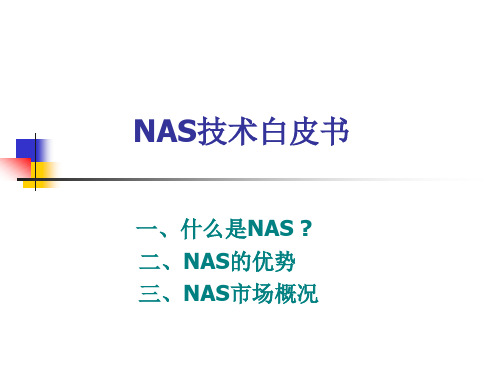 NAS技术白皮书.ppt