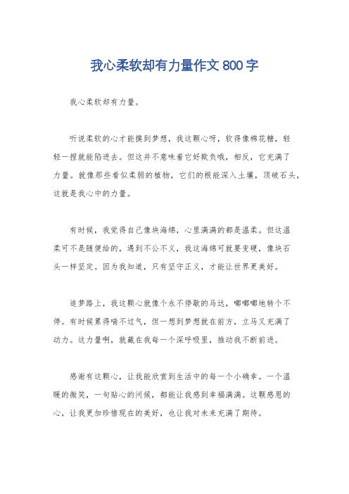 我心柔软却有力量作文800字