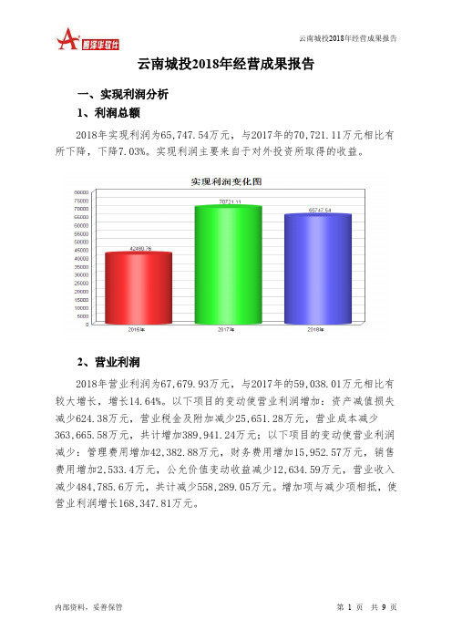 云南城投2018年经营成果报告-智泽华