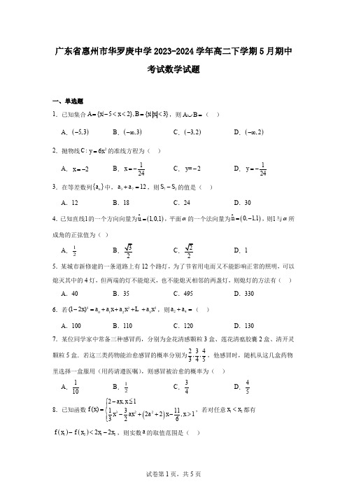 广东省惠州市华罗庚中学2023-2024学年高二下学期5月期中考试数学试题