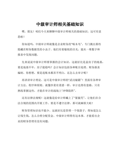 中级审计师相关基础知识