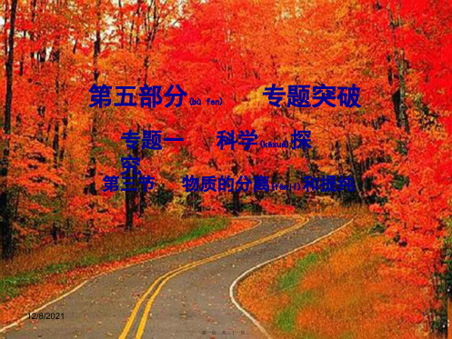 中考化学专题突破复习 第五部分 专题一 科学探究 第三节 物质的分离和提纯课件