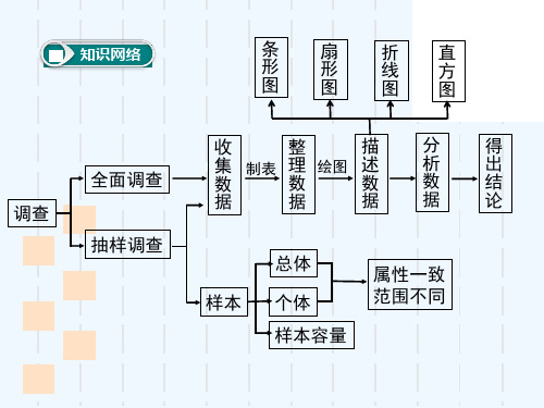 数据收集整理复习ppt课件