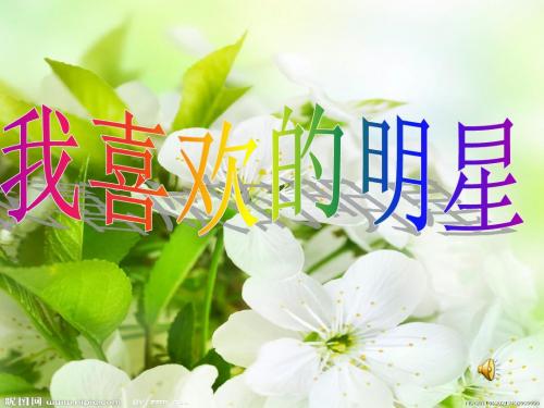 我喜欢的明星