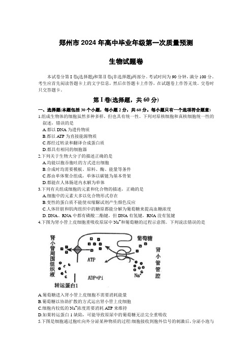 河南省郑州市2024届高三上学期第一次质量预测试题(一模)生物+Word版含答案