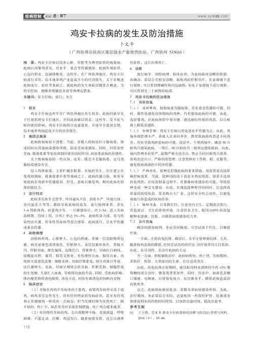 鸡安卡拉病的发生及防治措施