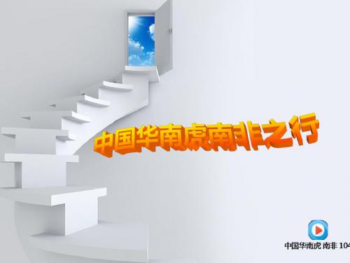 华南虎课件