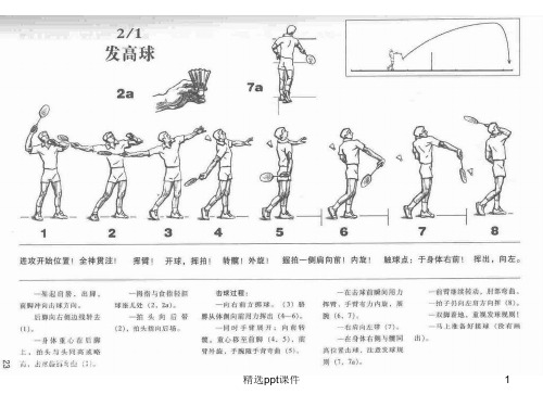 羽毛球动作图解